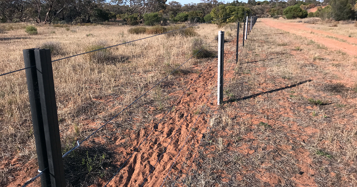 Westonfence Fencing for Biosecurity Farm Biosecurity