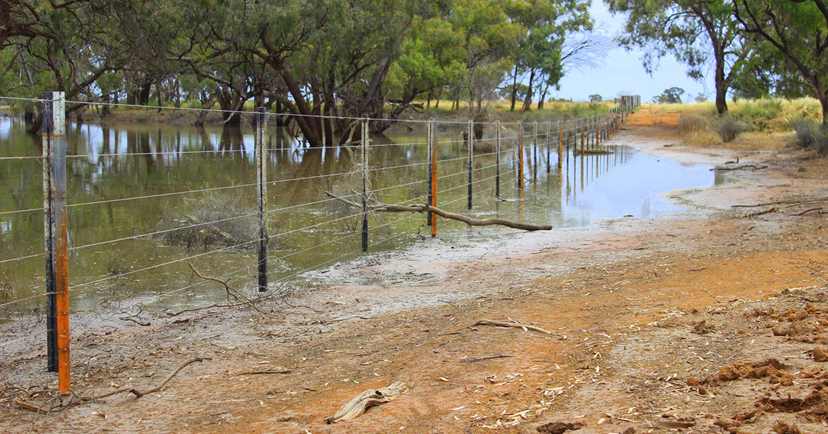 Westonfence Flood Aftermath