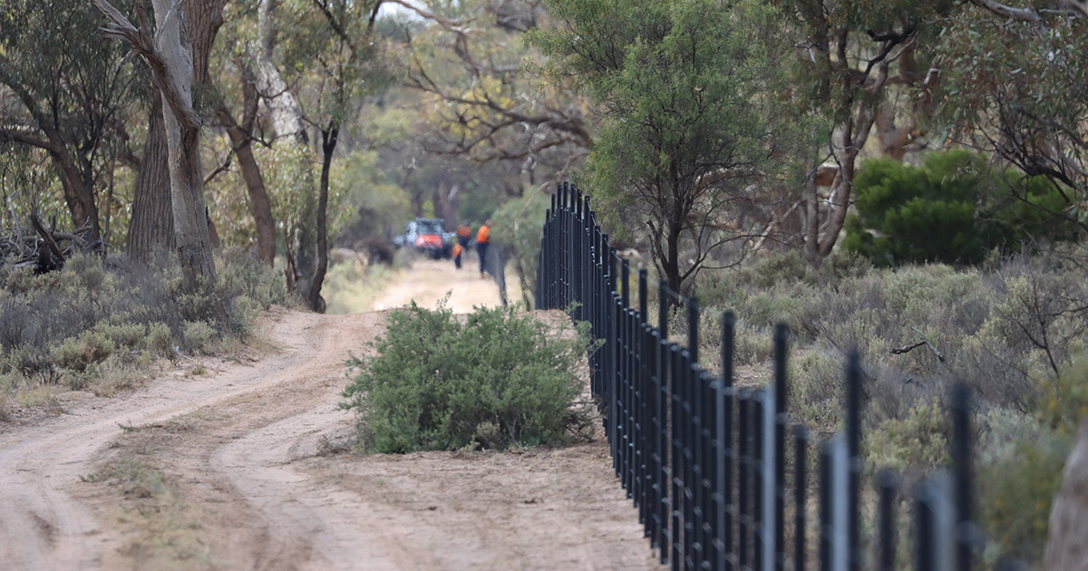 Fencing for Biodiversity