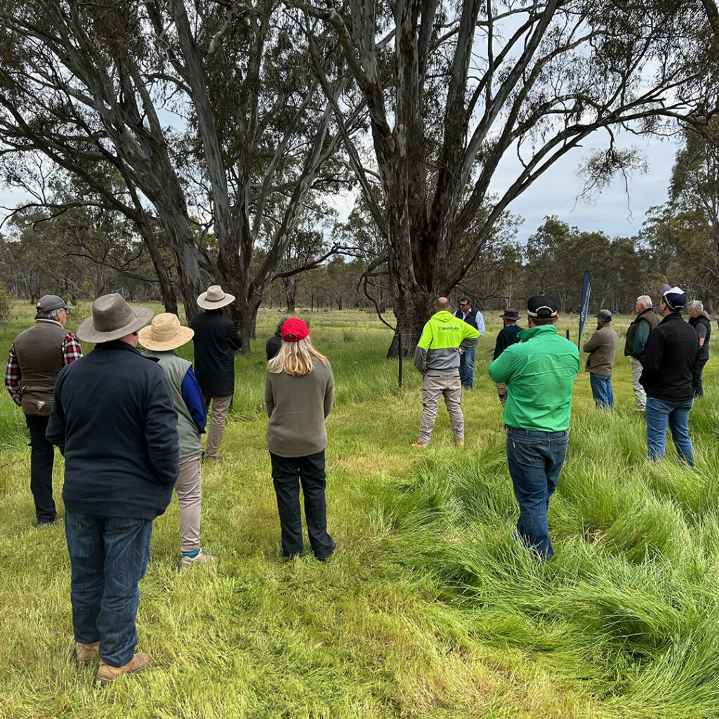 Nagambie Fencing for Exclusion Workshop
