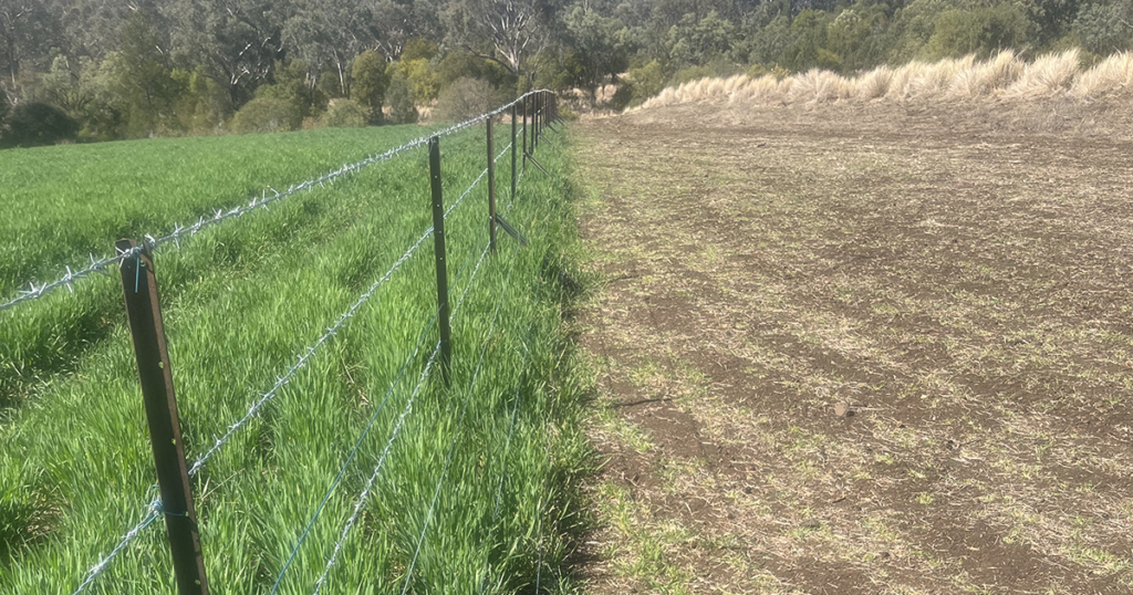 Westonfence Kangaroo Fence