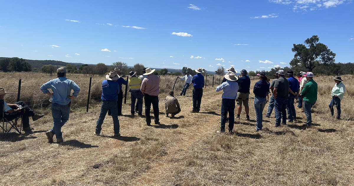 Fences designed to protect your assets!