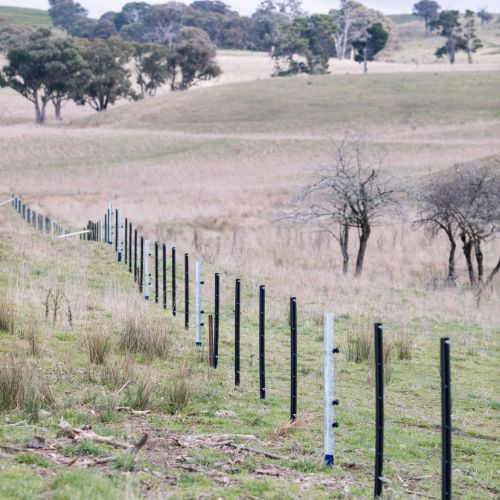 2 Westonfence D10 Boundary Fence