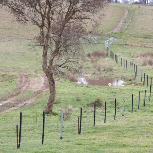 Westonfence Blurb 500px (1)